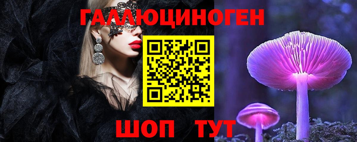 Саяногорск  Псилоцибиновые грибы Cubensis  Вход с VPN 